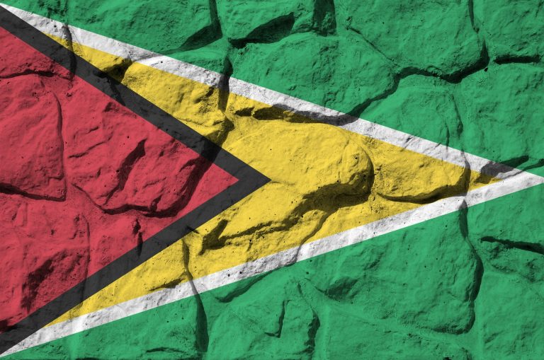 Profil negara Guyana