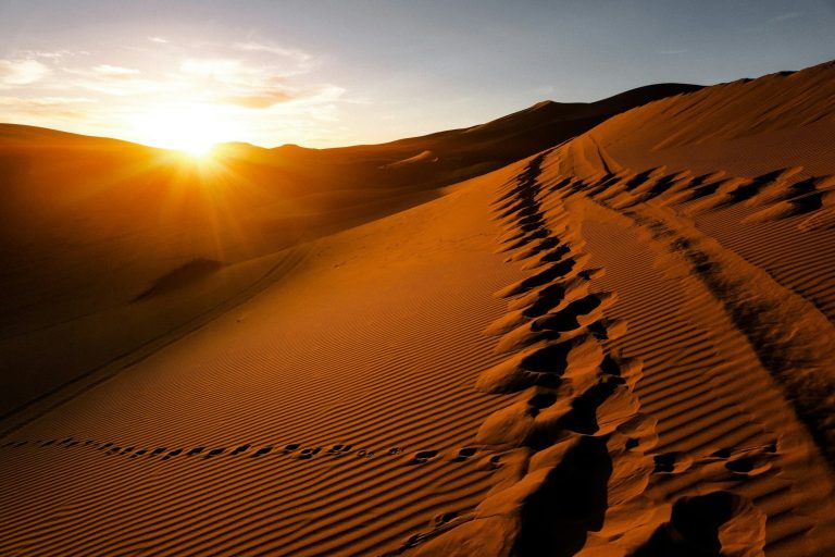 Profil negara Sahara Barat