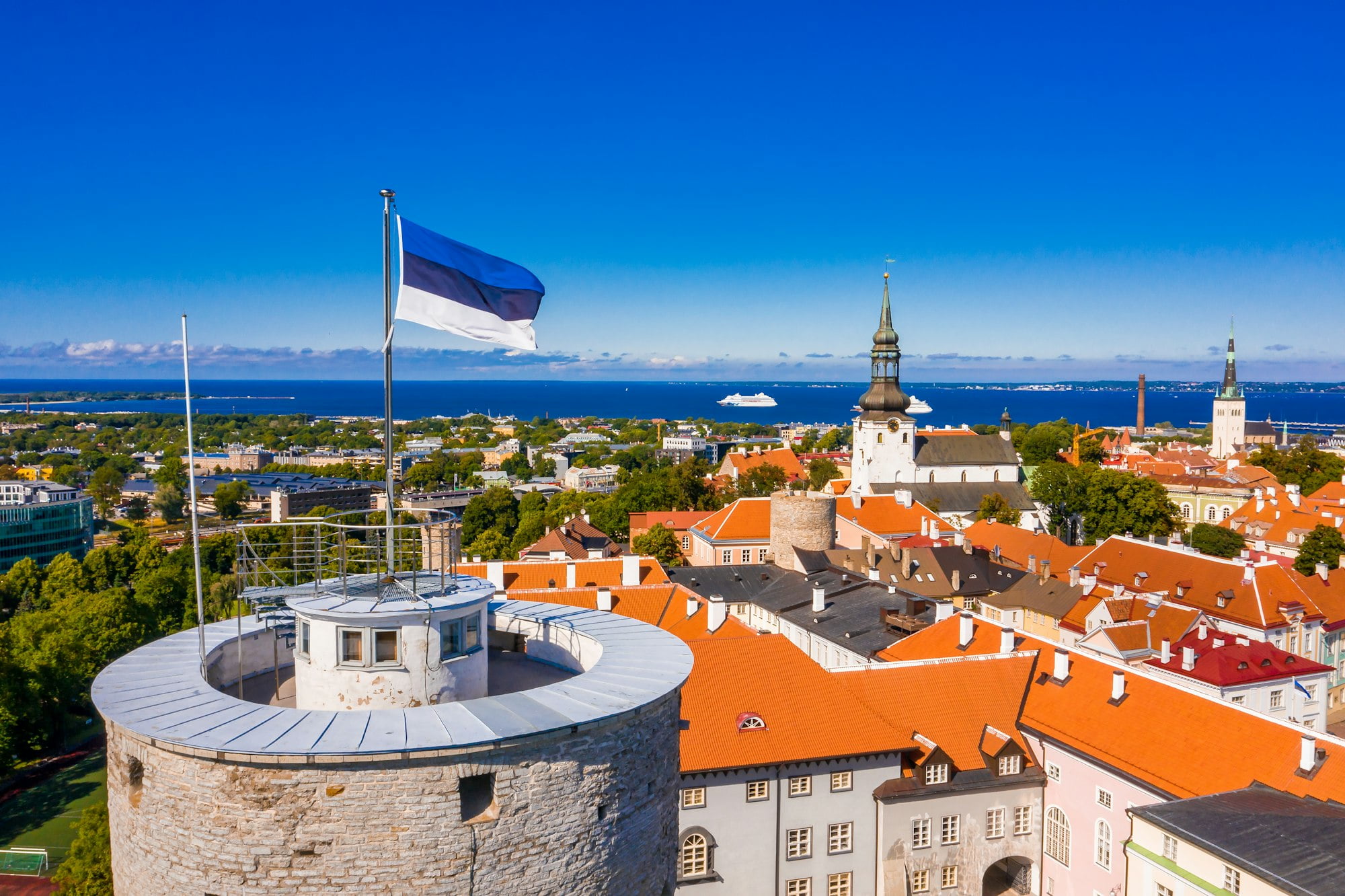 Profil negara Estonia